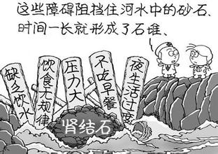 解析肾结石(图1)