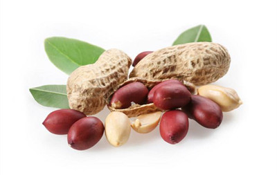 肾结石是怎么形成的(图1)