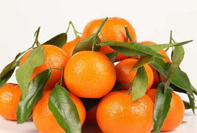 肾结石是怎么形成的(图2)