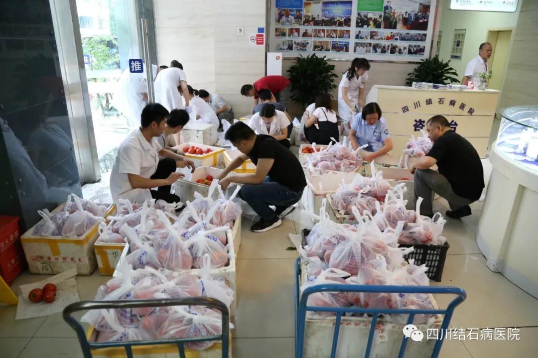 【携手成都台】四川结石病医院爱心助农 采购简阳3000斤滞销番茄(图2)