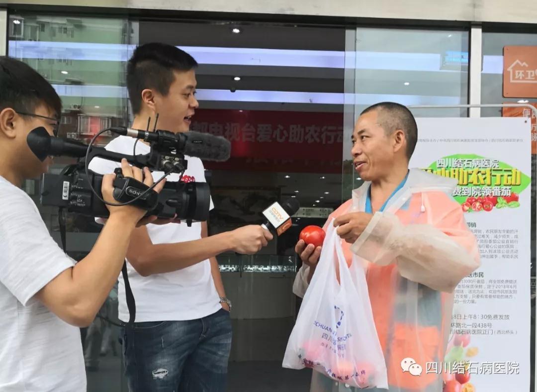 【携手成都台】四川结石病医院爱心助农 采购简阳3000斤滞销番茄(图8)