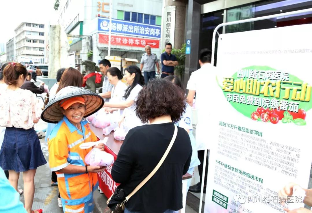 【携手成都台】四川结石病医院爱心助农 采购简阳3000斤滞销番茄(图10)