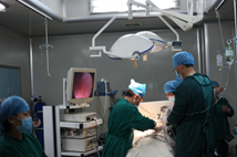 胆结石的极佳疗法——经脐隐瘢痕保胆取石术(图5)