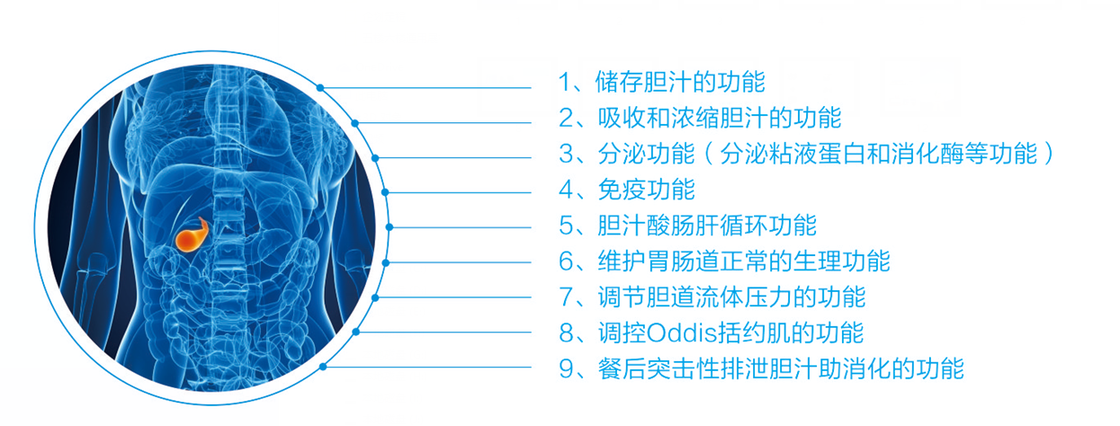 胆结石,一定非要切除胆囊吗?NO!(图3) 胆结石,一定非要切除胆囊吗?NO!(图3)